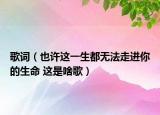 歌詞（也許這一生都無法走進你的生命 這是啥歌）