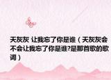 天灰灰 讓我忘了你是誰（天灰灰會不會讓我忘了你是誰?是那首歌的歌詞）