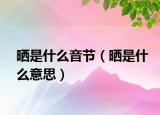 曬是什么音節(jié)（曬是什么意思）