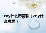 cny什么幣簡稱（cny什么意思）