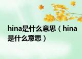 hina是什么意思（hina是什么意思）