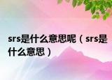 srs是什么意思呢（srs是什么意思）