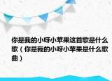 你是我的小呀小蘋果這首歌是什么歌（你是我的小呀小蘋果是什么歌曲）