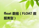 float 數(shù)組（FLOAT 數(shù)據(jù)類型）