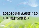 101010是什么位數(shù)（101010是什么意思）