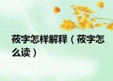 莜字怎樣解釋（莜字怎么讀）