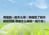 微信拍一拍怎么用（微信拍了拍功能如何搞 微信怎么搞拍一拍介紹）