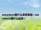 assurance是什么意思英語（assurance是什么輪胎）