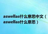 aswellas什么意思中文（aswellas什么意思）