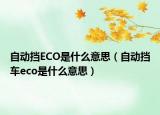 自動(dòng)擋ECO是什么意思（自動(dòng)擋車(chē)eco是什么意思）