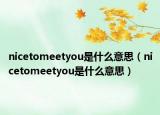 nicetomeetyou是什么意思（nicetomeetyou是什么意思）