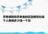 養(yǎng)老保險(xiǎn)和養(yǎng)老金的區(qū)別哪里社保個(gè)人繳納多少錢一個(gè)月