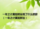 一年之計(jì)莫如樹谷用了什么修辭（一年之計(jì)莫如樹谷）