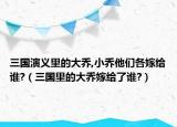 三國(guó)演義里的大喬,小喬他們各嫁給誰(shuí)?（三國(guó)里的大喬嫁給了誰(shuí)?）