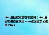 vivo返回鍵設(shè)置在哪里調(diào)（vivo返回鍵設(shè)置在哪里 vivo返回鍵怎么設(shè)置介紹）