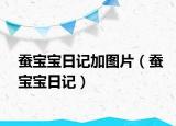 蠶寶寶日記加圖片（蠶寶寶日記）