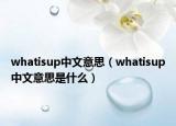 whatisup中文意思（whatisup中文意思是什么）