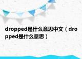 dropped是什么意思中文（dropped是什么意思）