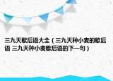 三九天歇后語大全（三九天種小麥的歇后語 三九天種小麥歇后語的下一句）