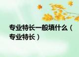 專(zhuān)業(yè)特長(zhǎng)一般填什么（專(zhuān)業(yè)特長(zhǎng)）