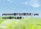 payment是什么付款方式（payment是什么意思）