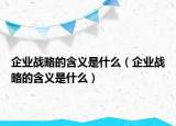 企業(yè)戰(zhàn)略的含義是什么（企業(yè)戰(zhàn)略的含義是什么）