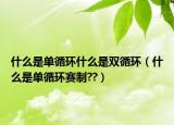 什么是單循環(huán)什么是雙循環(huán)（什么是單循環(huán)賽制??）