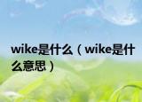 wike是什么（wike是什么意思）