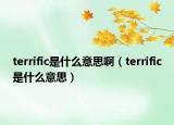 terrific是什么意思?。╰errific是什么意思）