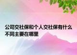 公司交社保和個(gè)人交社保有什么不同主要在哪里