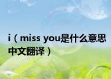 i（miss you是什么意思中文翻譯）