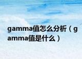 gamma值怎么分析（gamma值是什么）