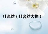 什么然（什么然大物）