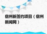 宿州新簽約項(xiàng)目（宿州新聞網(wǎng)）