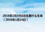 2016年1月19日出生屬什么生肖（2016年1月19日）