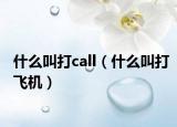 什么叫打call（什么叫打飛機(jī)）