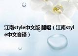 江南style中文版 翻唱（江南style中文音譯）