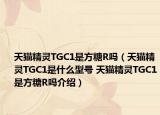 天貓精靈TGC1是方糖R嗎（天貓精靈TGC1是什么型號 天貓精靈TGC1是方糖R嗎介紹）