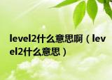 level2什么意思啊（level2什么意思）