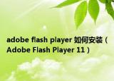 adobe flash player 如何安裝（Adobe Flash Player 11）