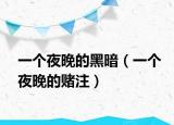 一個(gè)夜晚的黑暗（一個(gè)夜晚的賭注）