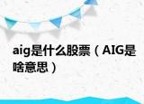 aig是什么股票（AIG是啥意思）