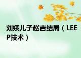 劉娥兒子趙吉結局（LEEP技術）