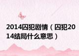 2014囚犯劇情（囚犯2014結局什么意思）