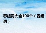 春組詞大全100個（春組詞）