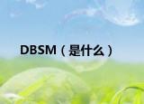 DBSM（是什么）