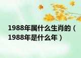 1988年屬什么生肖的（1988年是什么年）