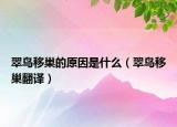 翠鳥移巢的原因是什么（翠鳥移巢翻譯）