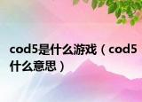 cod5是什么游戲（cod5什么意思）