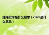 純綠按摩是什么意思（clam是什么意思）